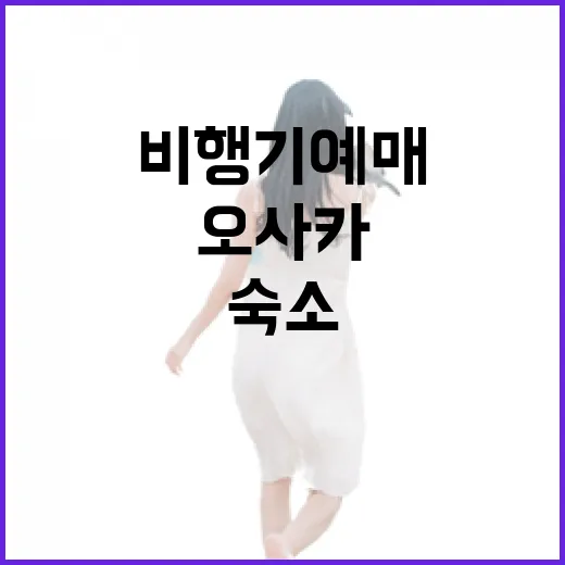 오사카비행기 예매하고 숙소까지 잡아봤더니, 진짜 피곤한 건 따로 있었다 - 요약