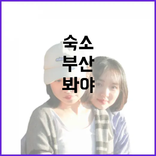 부산숙소 20번 넘게 묵어봤더니 사진보다 먼저 봐야 할 게 보였다 - 요약