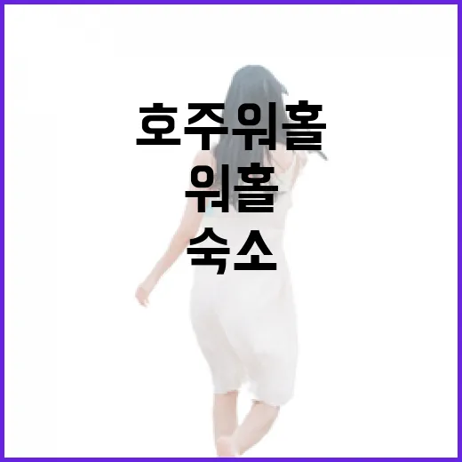 호주 워홀 35세, 늦게 알아봤더니 숙소부터 달라지더라 - 요약