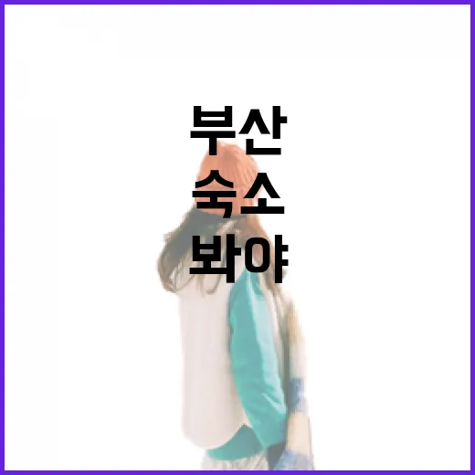 부산숙소 20번 넘게 잡아봤더니, 사진보다 더 봐야 했던 것들 - 요약