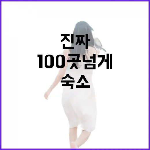 제주도숙소 100곳 넘게 다녀본 사람이 직접 겪은 진짜 이야기 - 요약