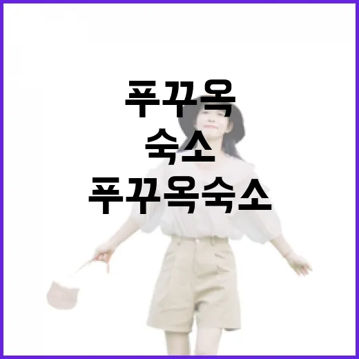 푸꾸옥숙소 7번 골라보니 알겠던 것들, 사진보다 먼저 봐야 할 진짜 기준 - 요약