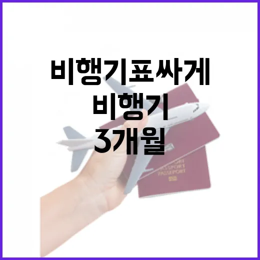 비행기표 싸게 사려고 3개월 뒤져봤더니 숙소값까지 같이 보이더라 - 요약