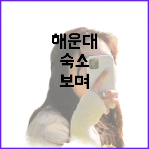 해운대 숙소를 여러 번 잡아보며 알게 된 해운대맛집의 진짜 차이 - 요약
