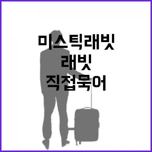 미스틱래빗 직접 묵어봤더니, 사진보다 더 봐야 할 것들이 있더라 - 요약
