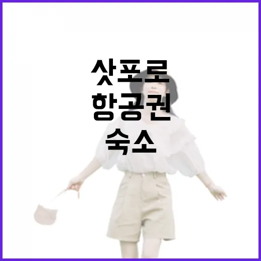 삿포로항공권 직접 끊어보니, 숙소보다 먼저 봐야 했던 진짜 이유 - 요약