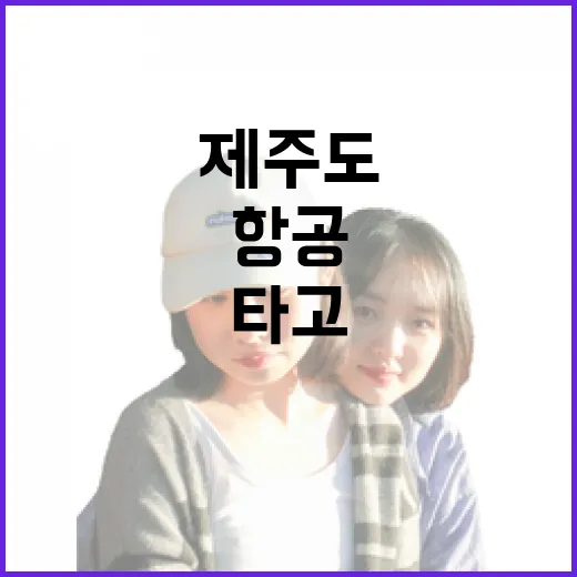 제주도항공 여러 번 타고 숙소까지 잡아봤더니 보인 진짜 차이 - 요약