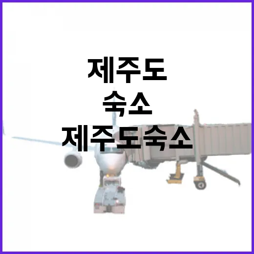 제주도숙소 30곳 넘게 직접 묵어봤더니, 사진만 보고 예약하면 놓치는 것들 - 요약