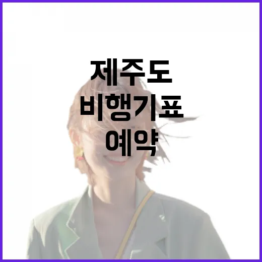 제주도비행기표를 숙소 예약보다 먼저 잡아봤더니 알게 된 진짜 차이 - 요약