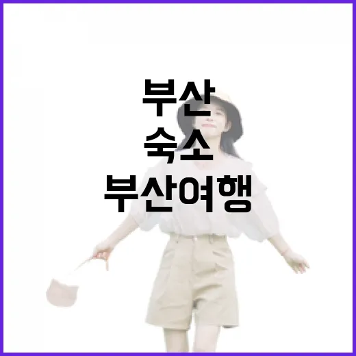 부산여행 숙소 100곳 넘게 다녀본 사람이 해운대만 고르지 않는 이유 - 요약