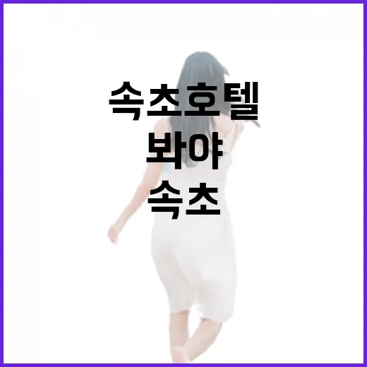 속초호텔 여러 번 묵어봤더니 사진보다 먼저 봐야 할 게 있더라 - 요약