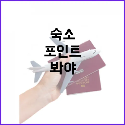극한직업 단팥빵 찾아가 봤더니, 숙소 고르듯 봐야 보이는 진짜 포인트 - 요약