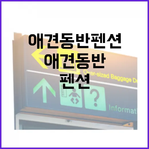 애견동반펜션 20번 넘게 가봤더니 사진보다 먼저 봐야 할 것들
