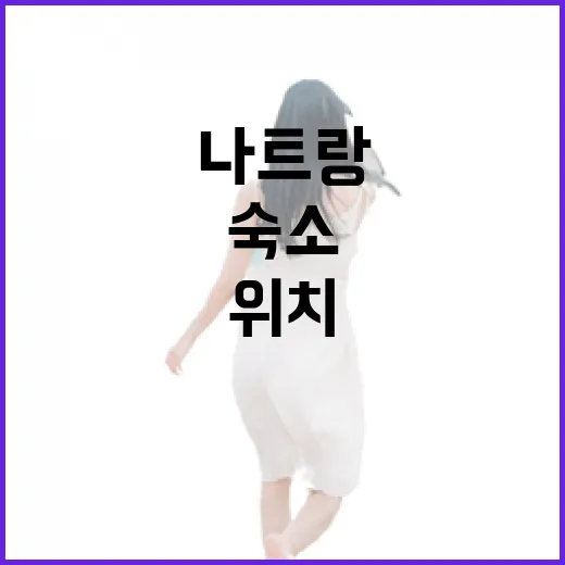 나트랑숙소 직접 골라봤더니, 사진보다 위치가 더 중요했던 이야기 - 요약