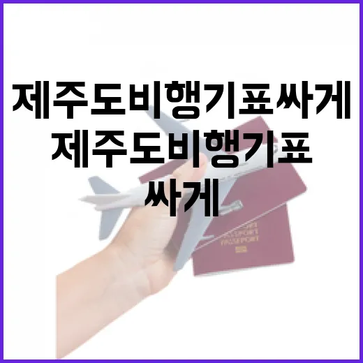 제주도비행기표 싸게 잡으려다 숙소 일정까지 꼬여본 후기 - 요약