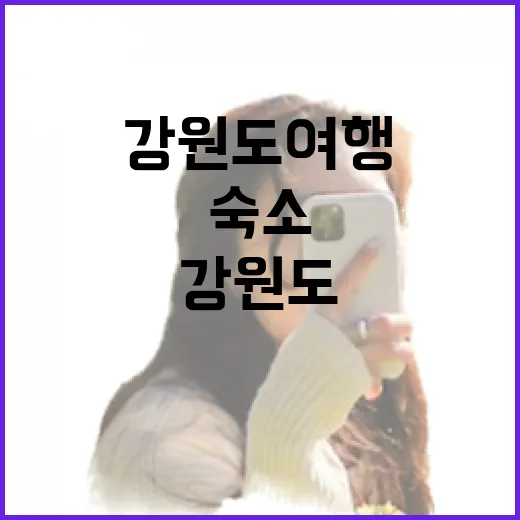 강원도여행 숙소만 20번 넘게 잡아봤더니 보이는 진짜 차이 - 요약