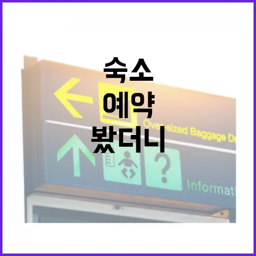 숙소 100곳 넘게 다니며 예약해봤더니, 사진보다 먼저 봐야 할 것들 - 요약