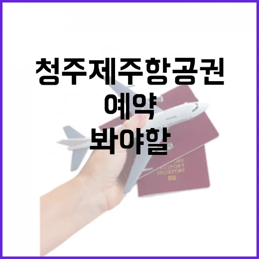청주제주항공권 직접 잡아봤더니, 숙소 예약보다 먼저 봐야 할 게 있었다 - 요약
