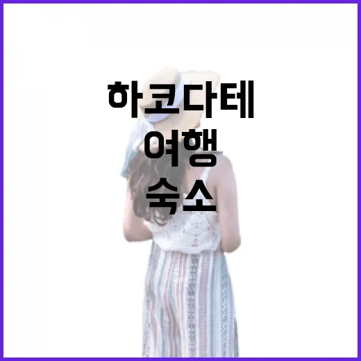 하코다테여행 직접 다녀와 보니, 숙소 위치가 여행 만족도를 거의 갈랐다 - 요약