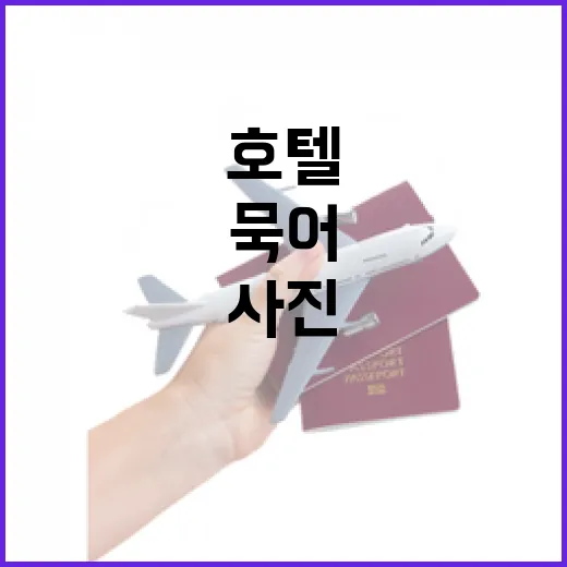 호텔 100곳 넘게 묵어봤더니 사진보다 먼저 보게 된 것들 - 요약