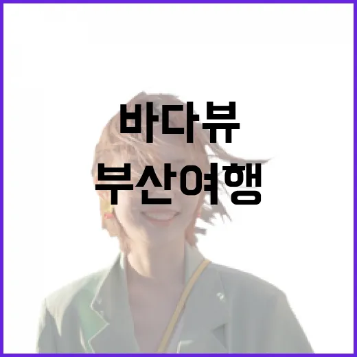 부산여행 숙소를 직접 고르며 느낀 진짜 차이, 바다뷰보다 먼저 봐야 할 것들 - 요약