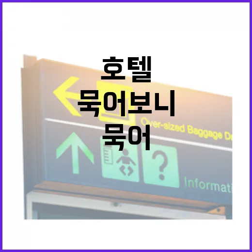 호텔 100곳 넘게 묵어보니 사진보다 먼저 보게 된 것들 - 요약