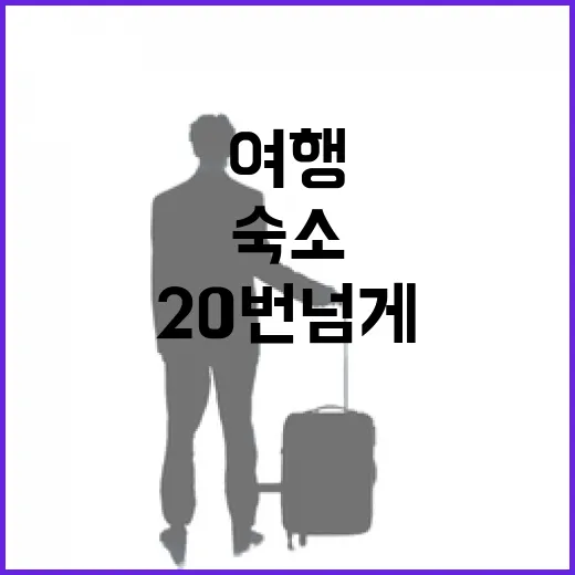 제주도여행 숙소만 20번 넘게 바꿔 묵어봤더니 보인 진짜 차이 - 요약