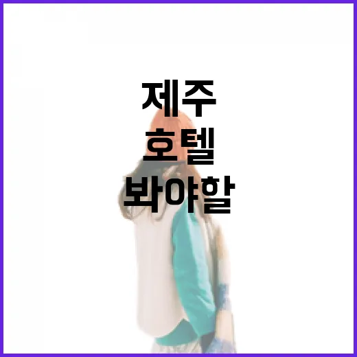 제주호텔 30곳 넘게 묵어봤더니 사진보다 먼저 봐야 할 게 있더라 - 요약