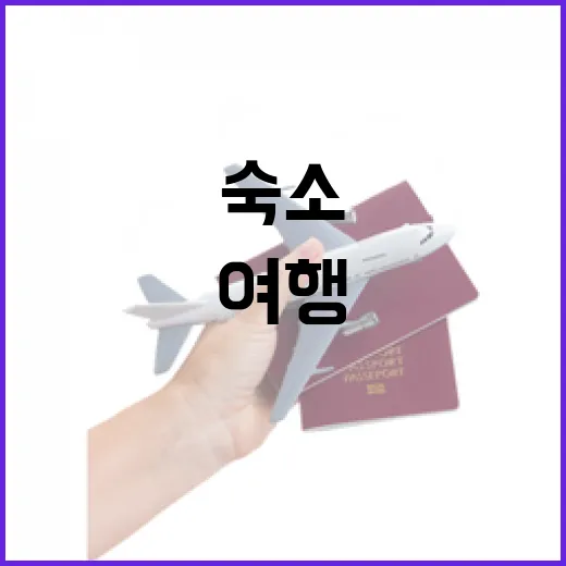 숙소 100곳 넘게 묵어봤더니 여행 만족도는 방보다 ‘이것’에서 갈렸습니다 - 요약