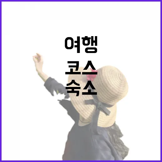 일본여행추천 코스 여러 번 다녀와봤더니, 숙소 만족도는 도시보다 동선에서 갈렸습니다 - 요약
