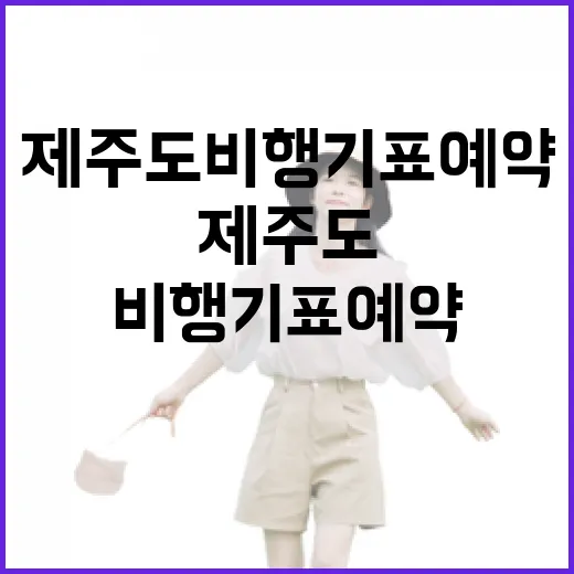 제주도비행기표예약, 숙소 100곳 넘게 다니며 체감한 진짜 타이밍 - 요약