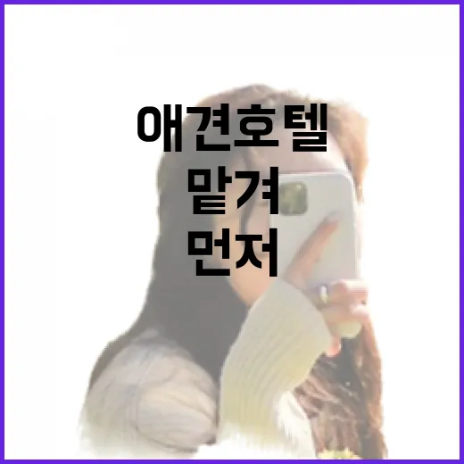 애견호텔 맡겨봤더니 사진보다 먼저 봐야 할 게 보이더라 - 요약
