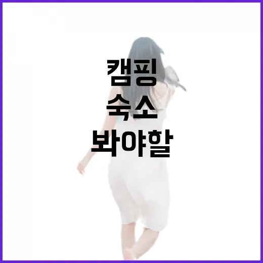 캠핑 숙소 30번 넘게 다녀봤더니, 사진보다 먼저 봐야 할 것들이 보였다 - 요약