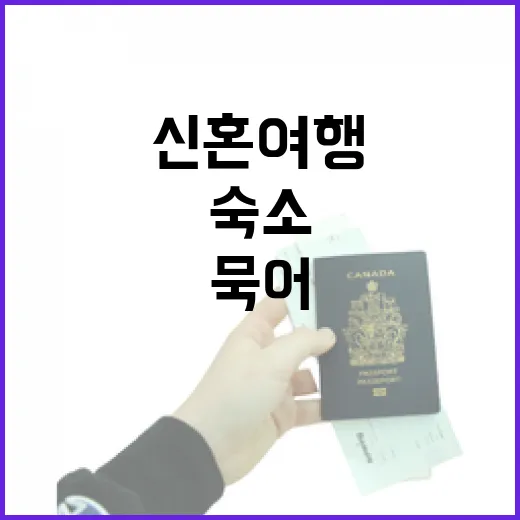 신혼여행 숙소만 100곳 넘게 묵어본 사람이 보니, 사진보다 먼저 봐야 할 것들 - 요약