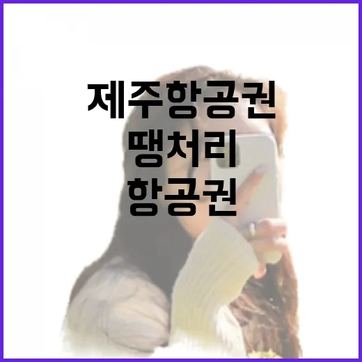 제주항공권땡처리만 믿고 제주 숙소 잡았다가 배운 진짜 이야기 - 요약