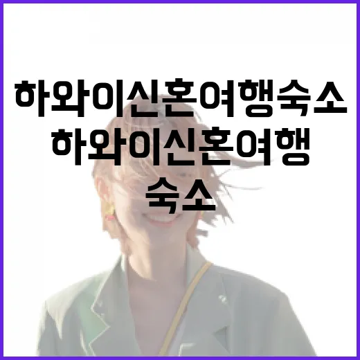하와이신혼여행 숙소를 직접 골라보며 느낀 진짜 차이 - 요약