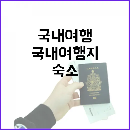 국내여행지 숙소 100곳 넘게 묵어봤더니, 여행 만족도는 여기서 갈렸습니다 - 요약