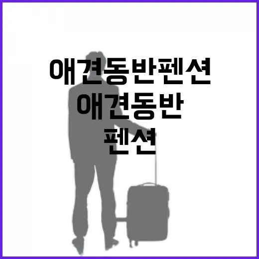 애견동반펜션 30곳 넘게 가봤더니 사진보다 먼저 봐야 할 게 있더라 - 요약