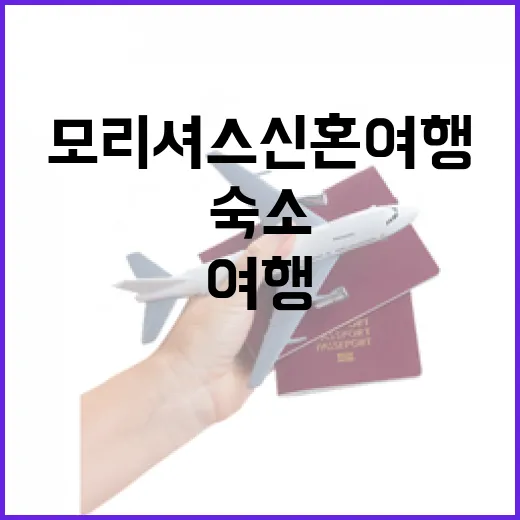 모리셔스 신혼여행 직접 따져봤더니, 사진보다 숙소 선택이 더 중요했다 - 요약