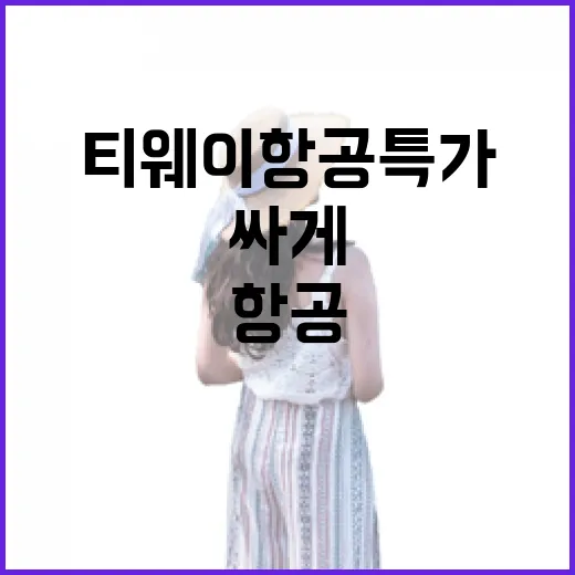 티웨이항공특가 잡고 숙소까지 맞춰봤더니, 싸게 간 여행의 진짜 계산서 - 요약