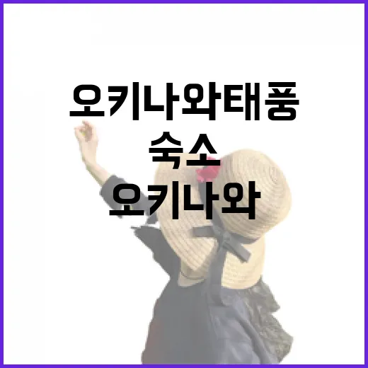 오키나와 태풍 시즌에 숙소 잡아봤더니, 사진보다 더 중요했던 것들 - 요약
