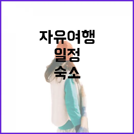 자유여행으로 숙소 100곳 넘게 묵어봤더니, 일정보다 방 고르는 감이 먼저 생겼다 - 요약