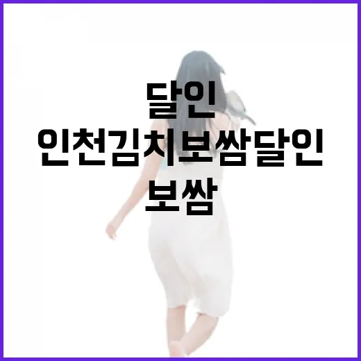 인천 김치보쌈 달인 찾다가 직접 먹어보고 느낀 진짜 포인트 - 요약