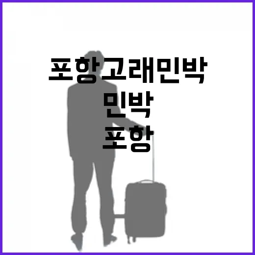 포항 고래민박, 사진만 믿고 예약하기 전에 따져본 진짜 이야기 - 요약