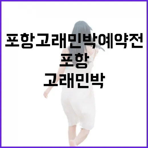 포항 고래민박 예약 전 직접 따져본, 사진보다 중요한 진짜 체크포인트 - 요약