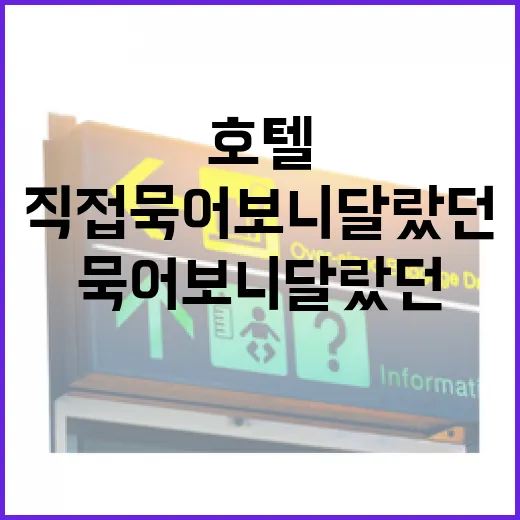 호텔수영장 보고 예약했다가 직접 묵어보니 달랐던 것들 - 요약
