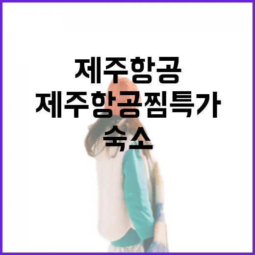 제주항공 찜특가로 제주 숙소까지 잡아봤더니, 싸게 산 사람과 손해 본 사람이 갈렸다 - 요약