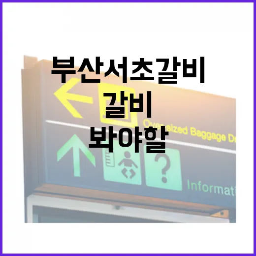 부산 서초갈비 직접 가봤더니, 이름값보다 먼저 봐야 할 것들 - 요약