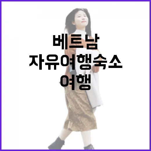 베트남자유여행 숙소만 7번 바꿔 묵어봤더니 보인 진짜 차이 - 요약