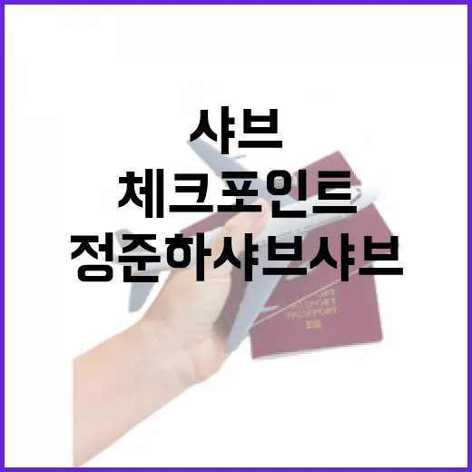 정준하 샤브샤브 찾아보다가 느낀 유명인 맛집의 진짜 체크 포인트 - 요약